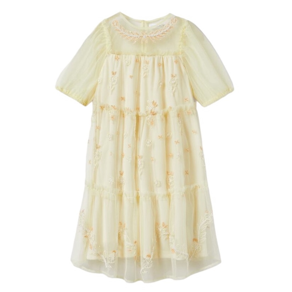 NWT Zara Embroidered Beaded Dress